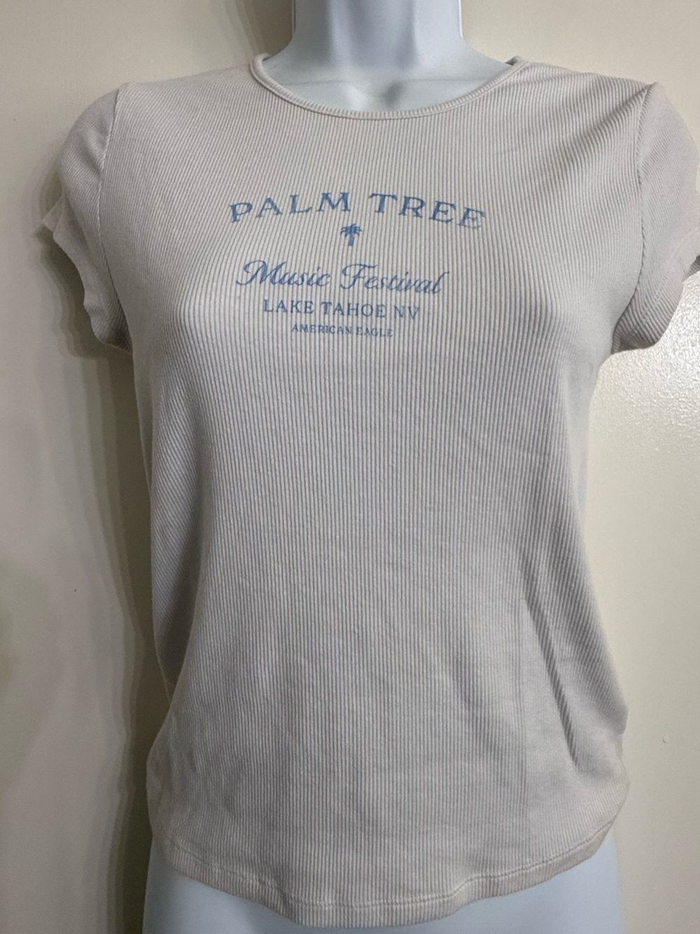 American Eagle Outfitters off white Ribbed Short Sleeve Tee Blue medium